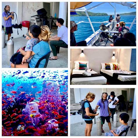 pamanilao and padoy's dive camp|PamAnilao and Padoy's Dive Camp .